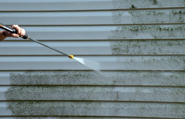 Best Local Mold Removal Service  in Blue Ridge, VA