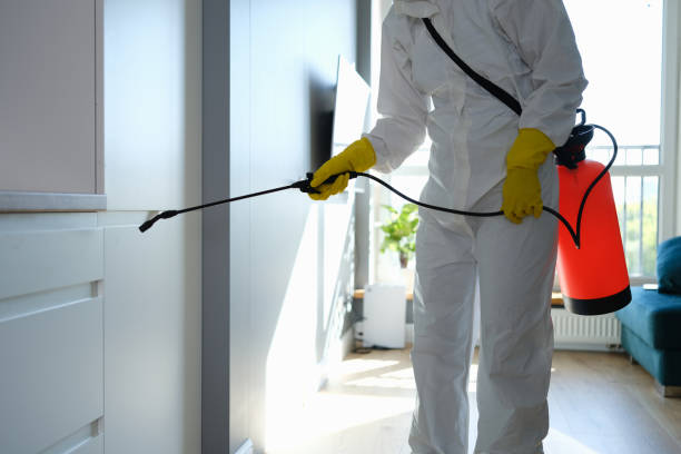 Best Best Mold Removal Companies  in Blue Ridge, VA