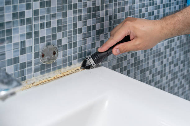 Best Professional Mold Removal  in Blue Ridge, VA