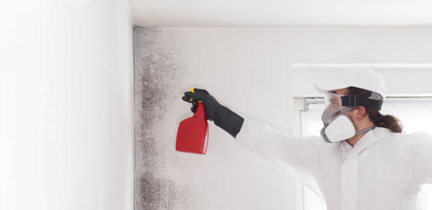 Best Mold Cleaning Services  in Blue Ridge, VA
